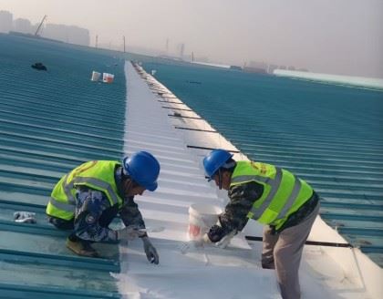 浙江雨中行修缮科技有限公司的图标
